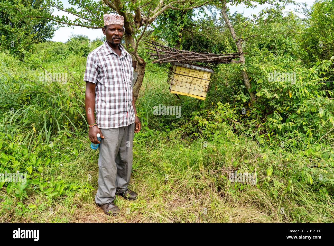 A farmer inspects his beehive fence built to deter elephants from raiding crops in Sagalla near Voi Southern Kenya Stock Photo