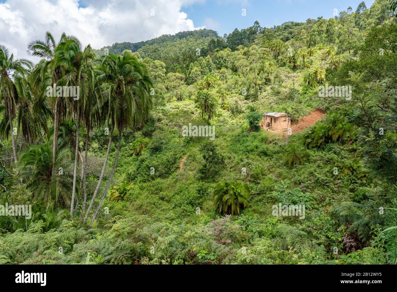 Small farmstead amidst lush tropical vegetation high in the Sagalla Hills of Southern Kenya near the town of Voi Stock Photo