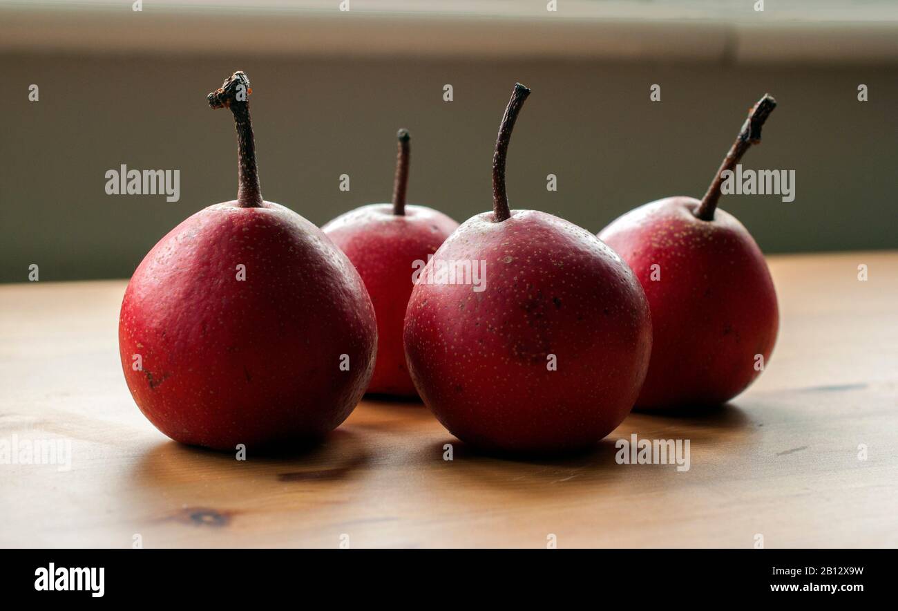 Nashi pears (Pyrus pyrifolia), also knnown as Japanese pears, Asian pears, Apple pear, Chinese pear. Stock Photo