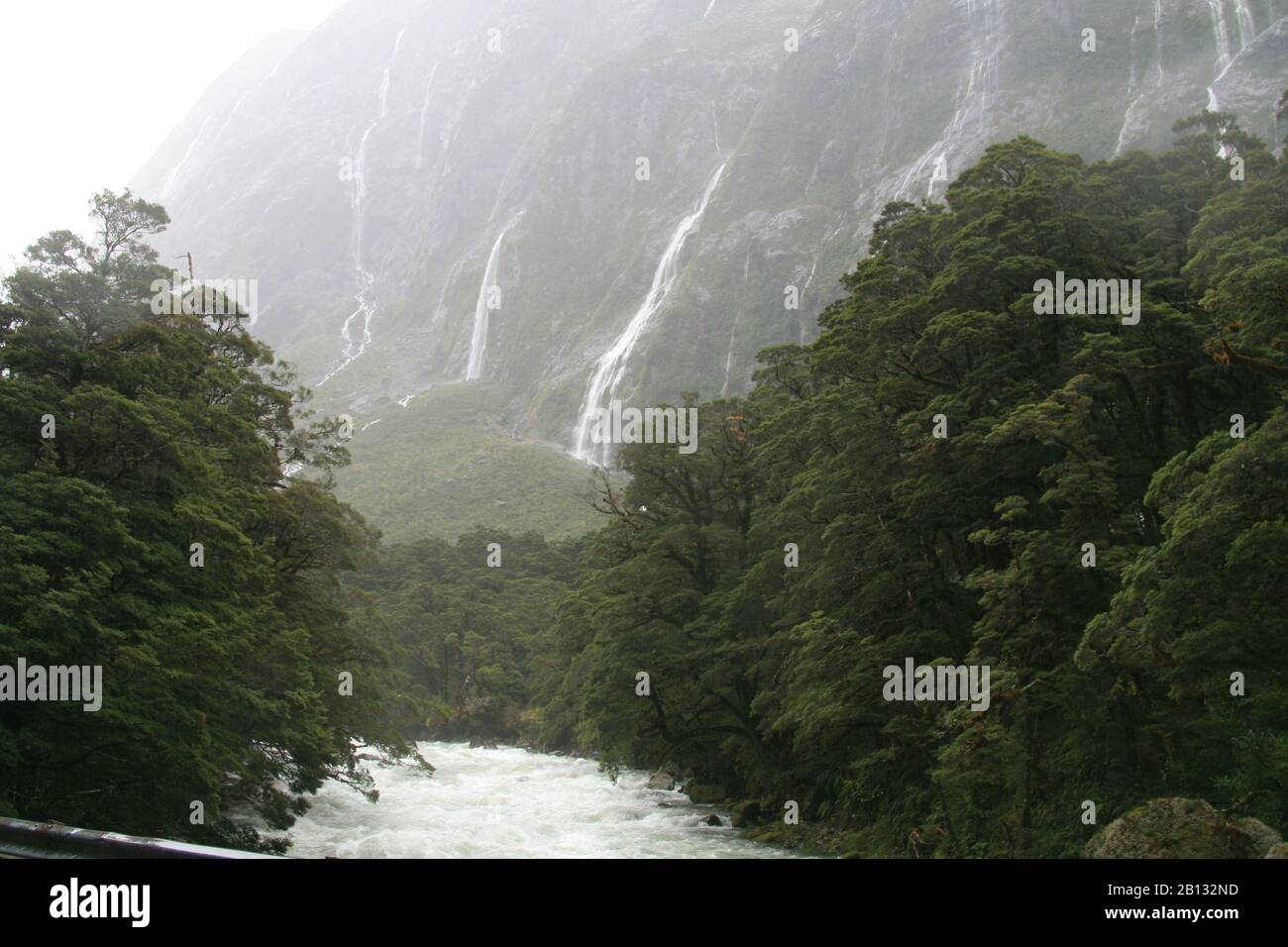 nature and the world around new Zealand Stock Photo