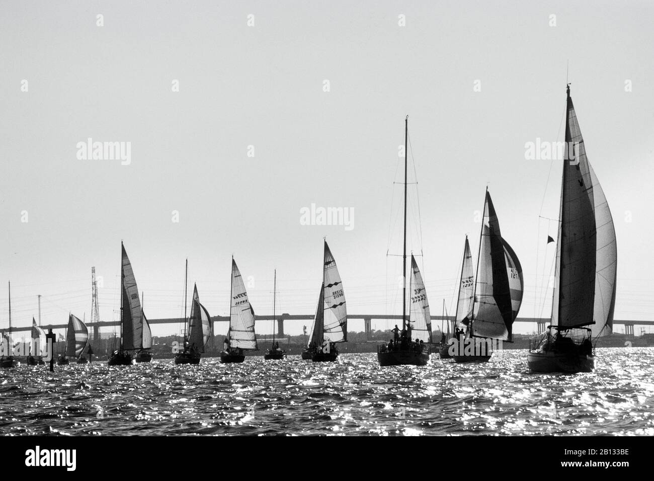 Sailboat race under full sail on Galveston Bay in Texas,USA Stock Photo Alamy