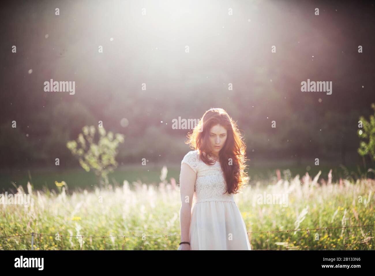 Young woman standing on a meadow in backlight,portrait Stock Photo