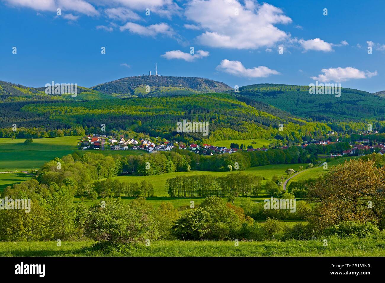 Inselsberg near Winterstein -Emsetal,Gotha district,Thuringia,Germany Stock Photo