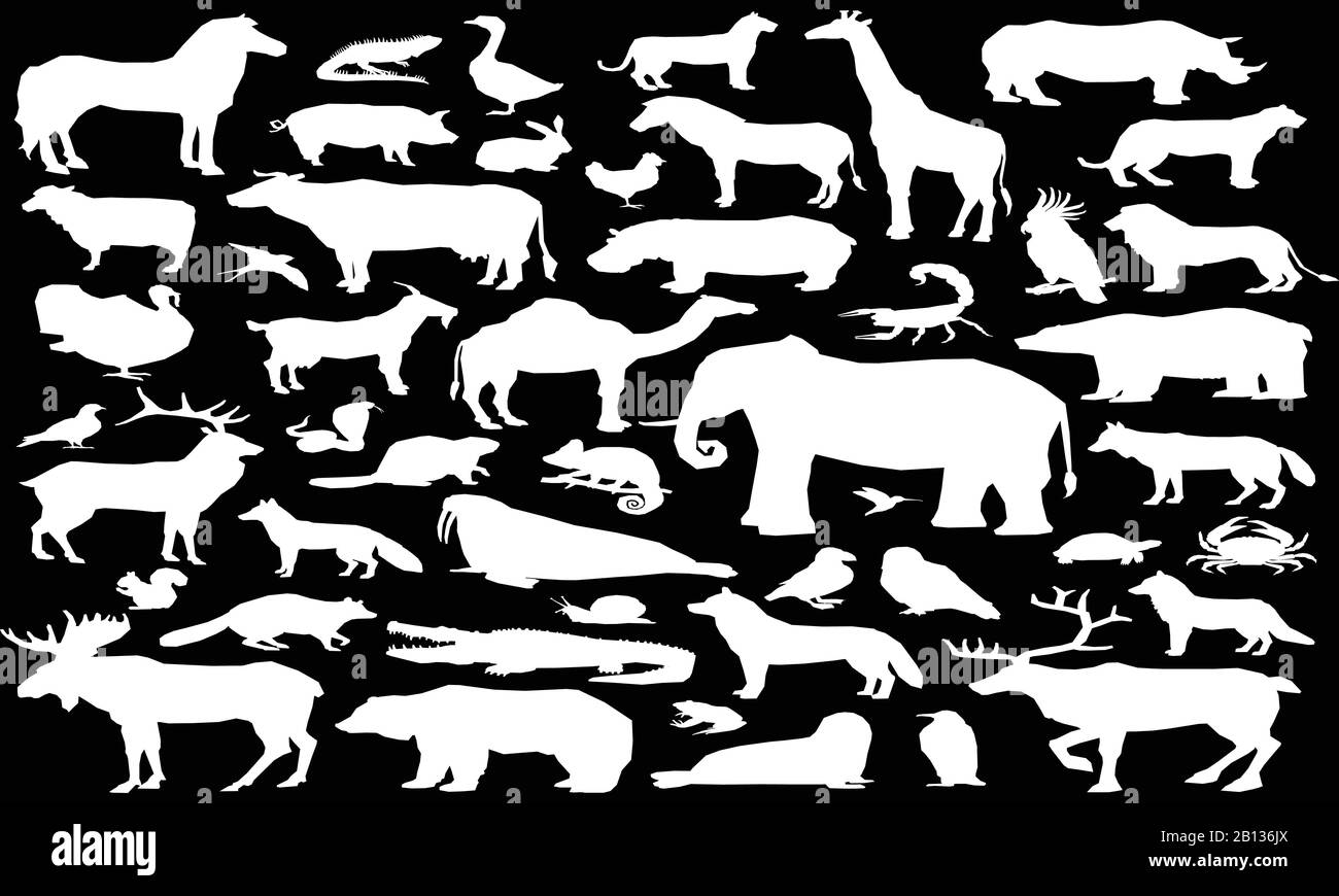 Different shapes of animals, birds vector Stock Vector Image & Art Alamy