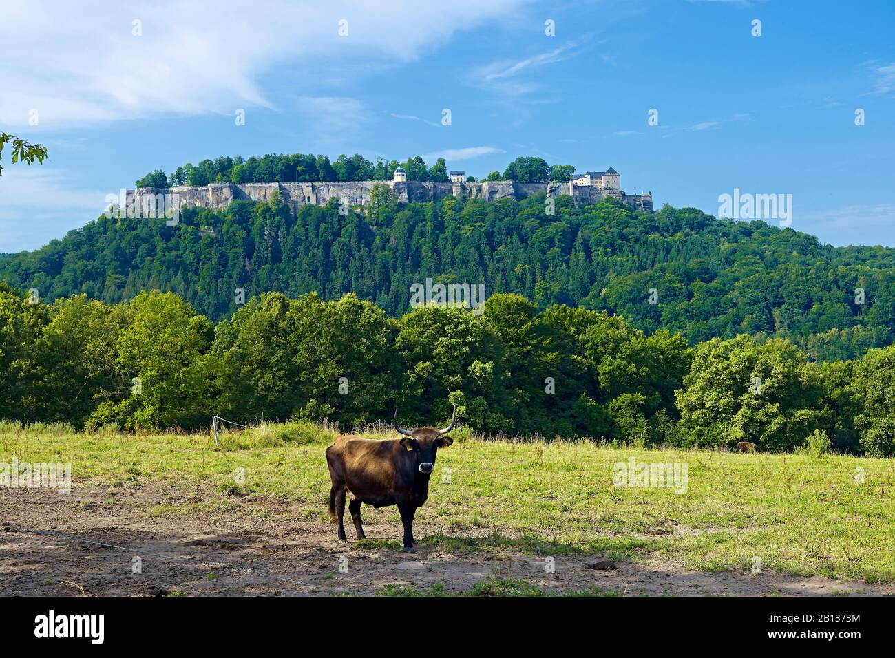 Königstein Fortress,Sächsische Schweiz-Osterzgebirge,Saxony,Germany Stock Photo