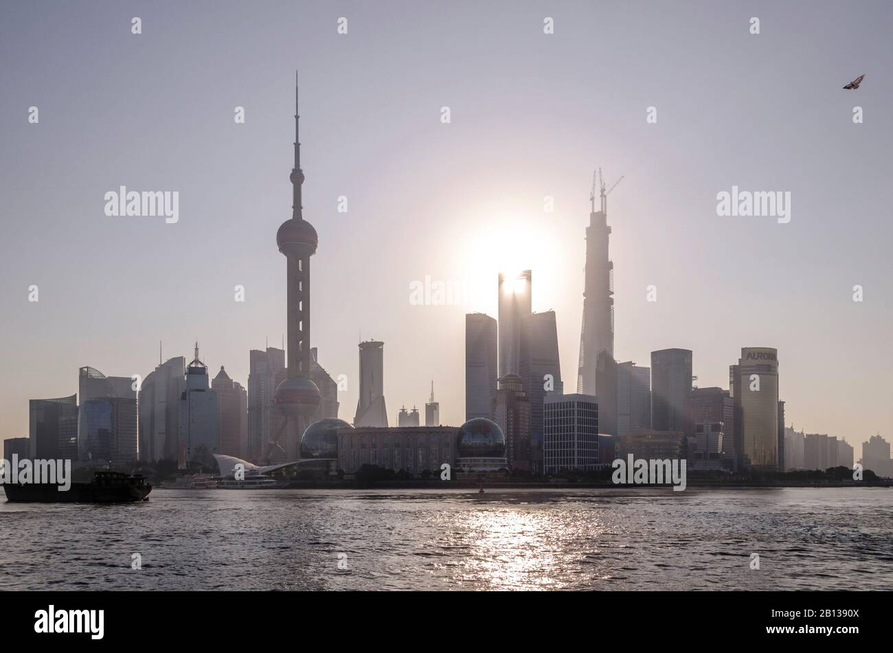 Pudong skyline in the morning,Shanghai,China Stock Photo