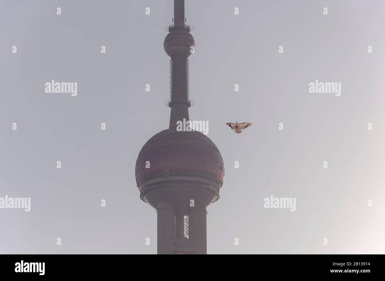 Oriental Pearl Tower and kite,Shanghai,China,Asia Stock Photo