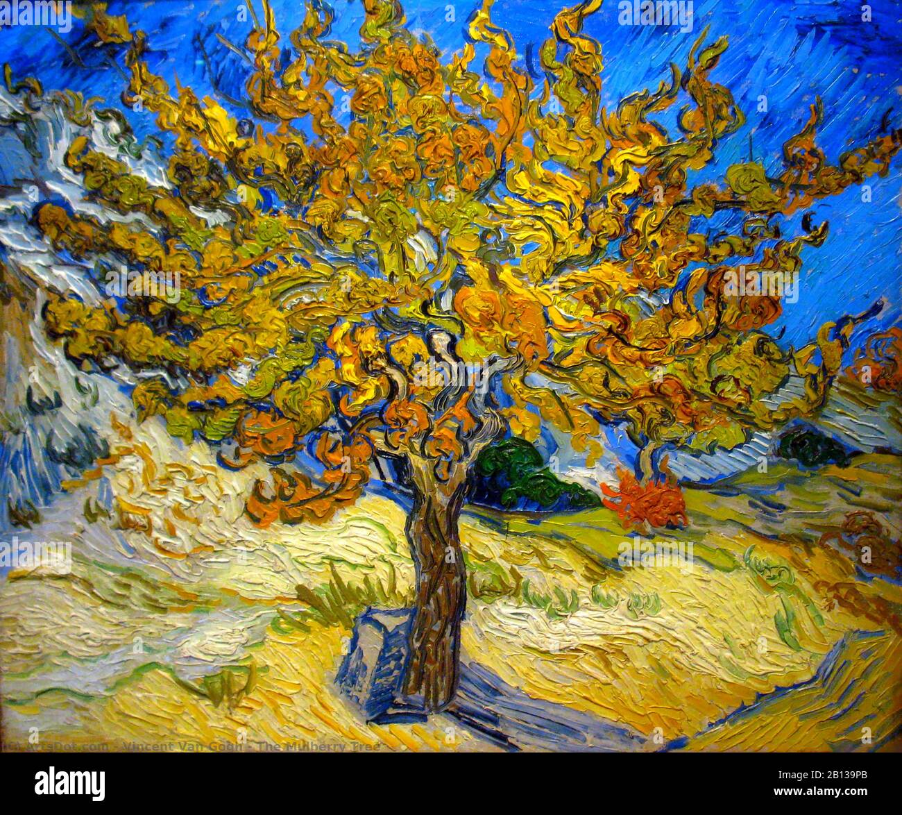 The Mulberry Tree painting by Vincent van Gogh - Very high resolution and quality image Stock Photo