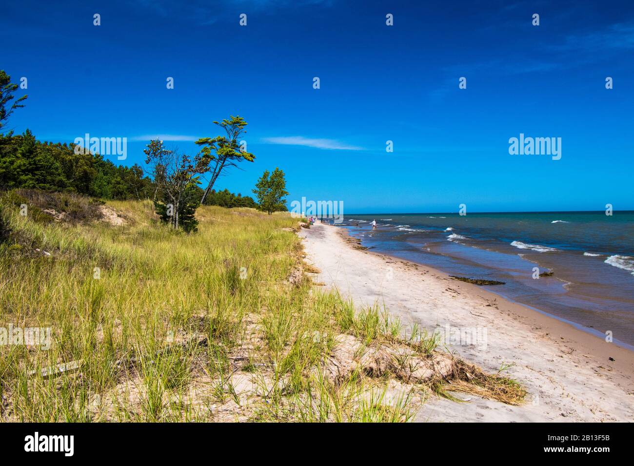 KohlerAndrae State Park Stock Photo Alamy