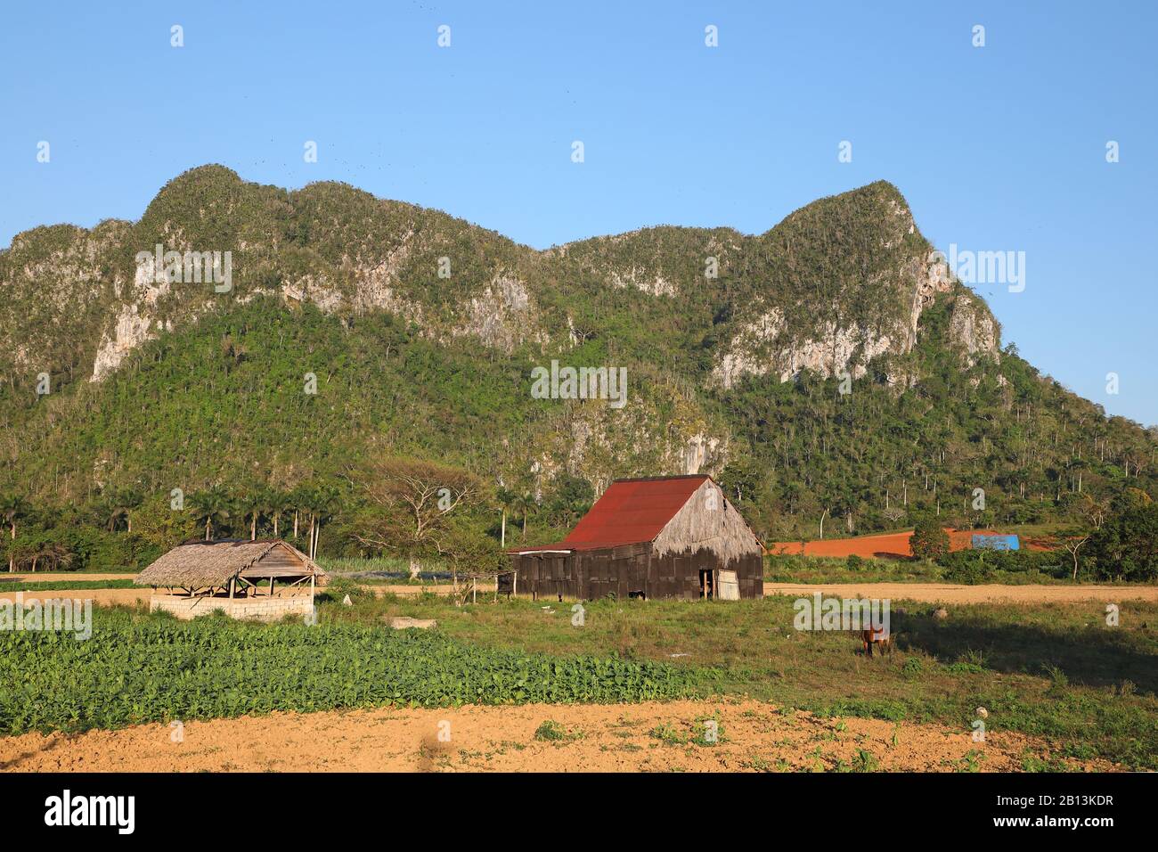 farm house in front of mountains, Cuba, La Guira National Park Stock Photo