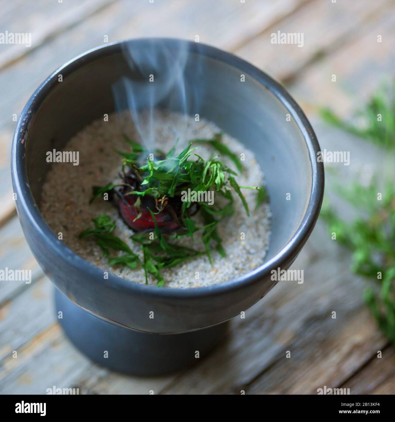 sweet woodruff (Galium odoratum), curing with bedstraw, Germany Stock Photo