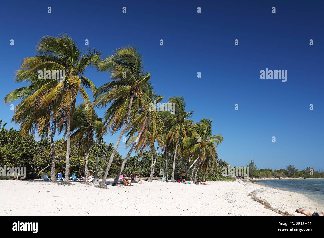 palm beach Playa Coco on Kuba, Cuba Stock Photo