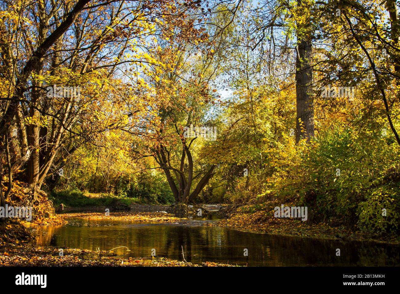 river Lauter near bei Kirchheim/Teck in autumn, Germany, Baden-Wuerttemberg Stock Photo