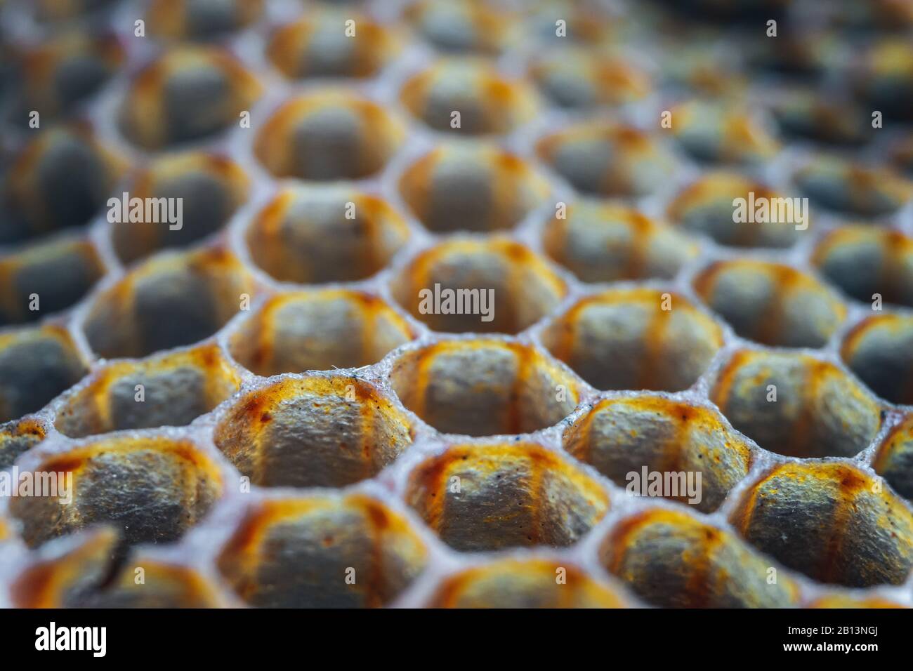 Honeycomb honey bee close up hi-res stock photography and images - Alamy