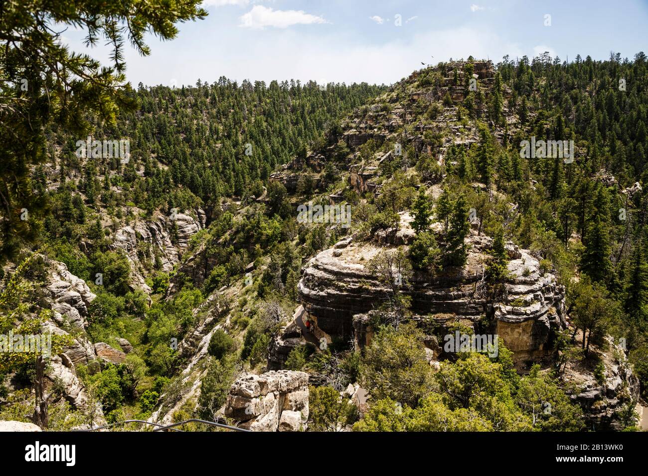 Walnut Canyon National Monument,Arizona,USA Walnut Canyon National Monument,Arizona,USA Stock Photo