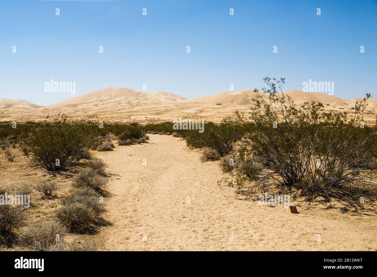 Kelso Dunes,Mojave Desert,Mojave National Preserve,California,USA Stock Photo