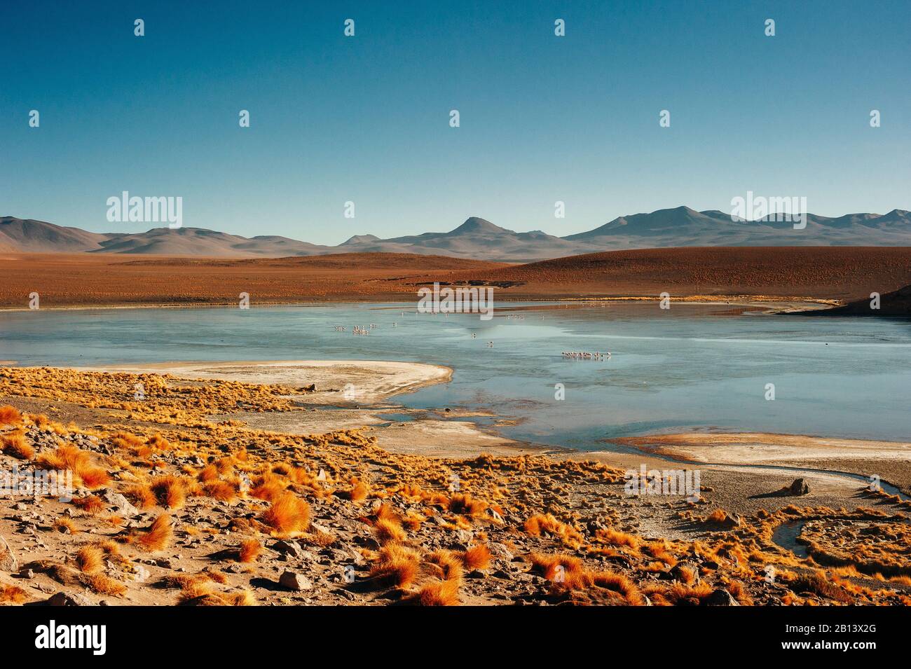 Beautiful landscape in the reserva nacional los flamencos Stock Photo