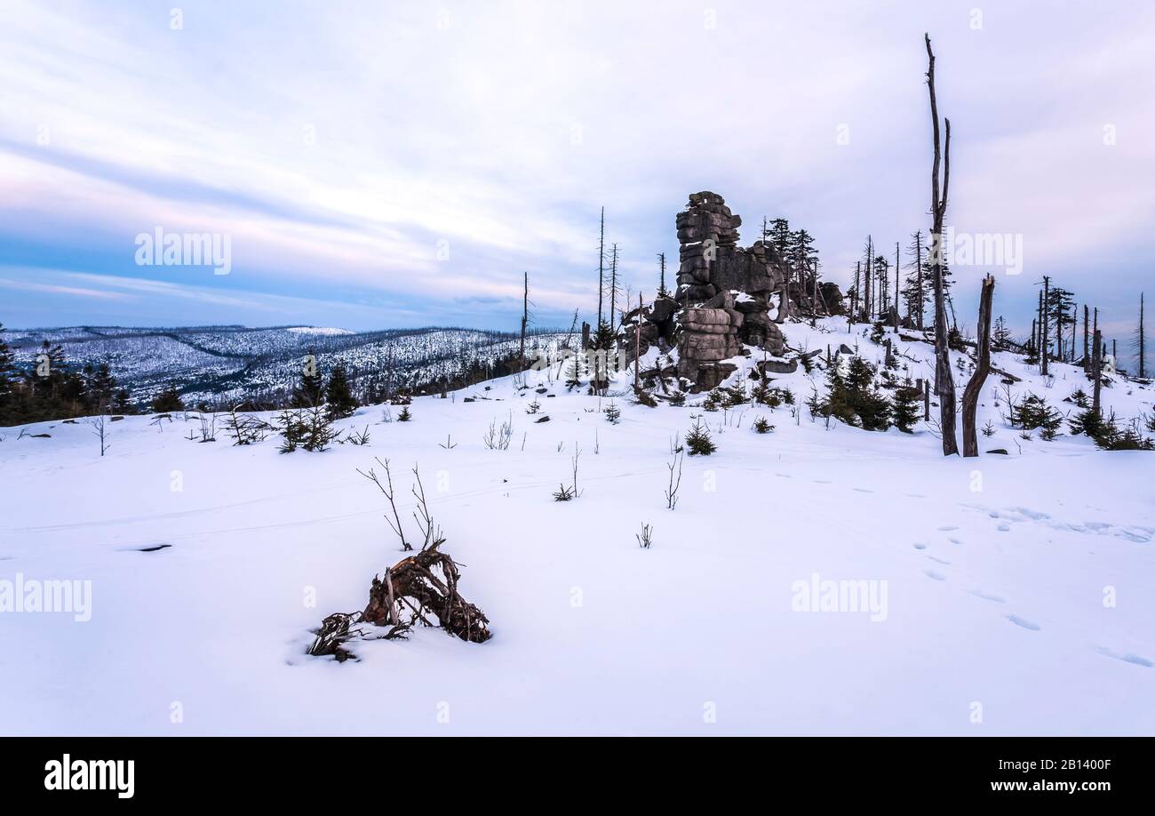 Winter landscape at Dreisessel,Haidmuehle,Bavarian Forest,Lower Bavaria,Bavaria,Germany Stock Photo