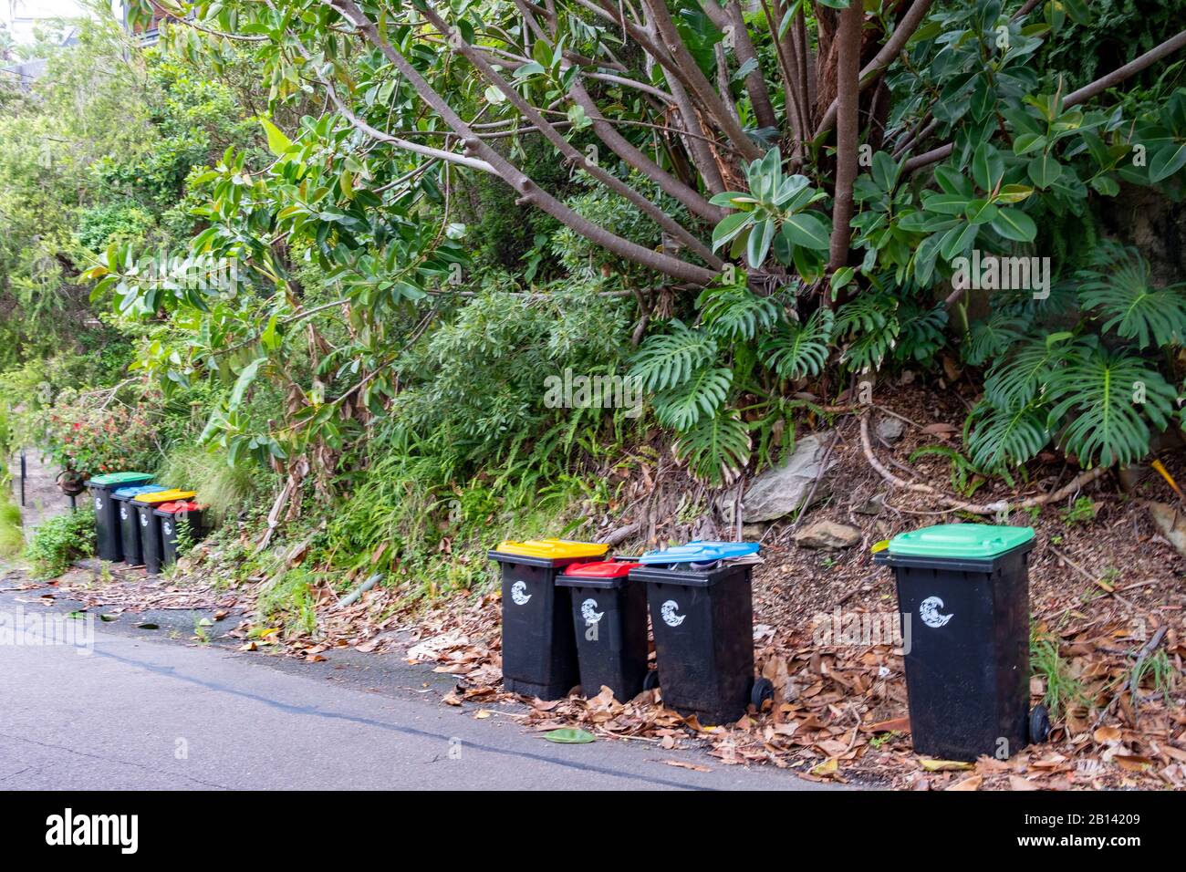Australian household bin collection, green vegetation, red general waste, blue paper and cardboard, yellow for plastics and glass, Sydney,Australia Stock Photo