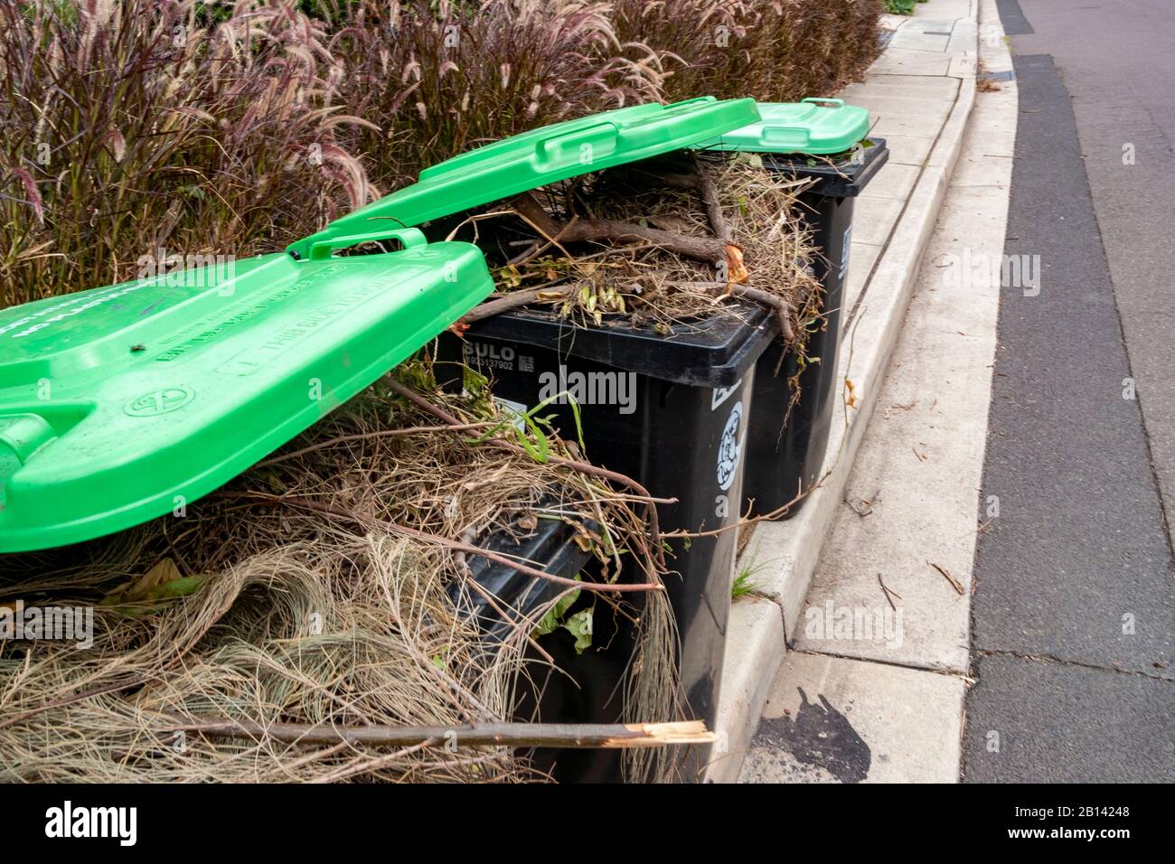 Australian green vegetation wheelie bins awaiting council collection for recycling into compost