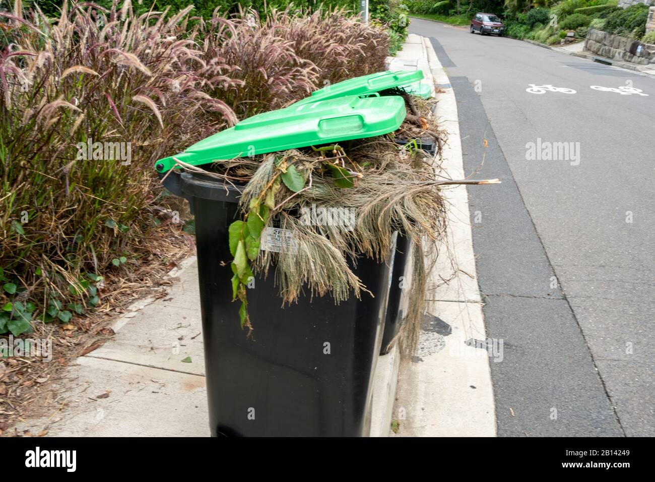 Australian green vegetation wheelie bins awaiting council collection for recycling into compost