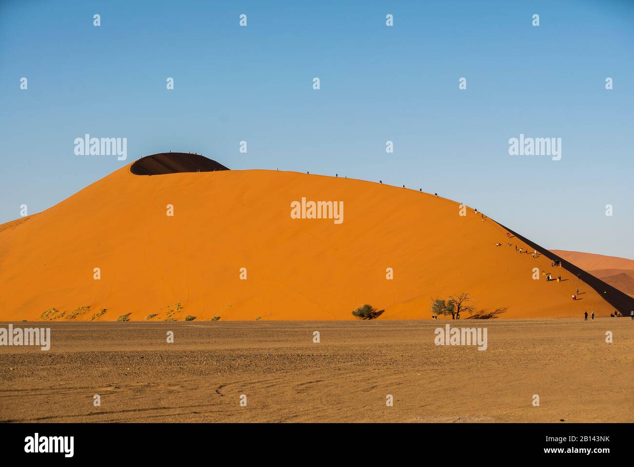 The largest dunes in the world, Sossusvlei, Namibia, Africa Stock Photo
