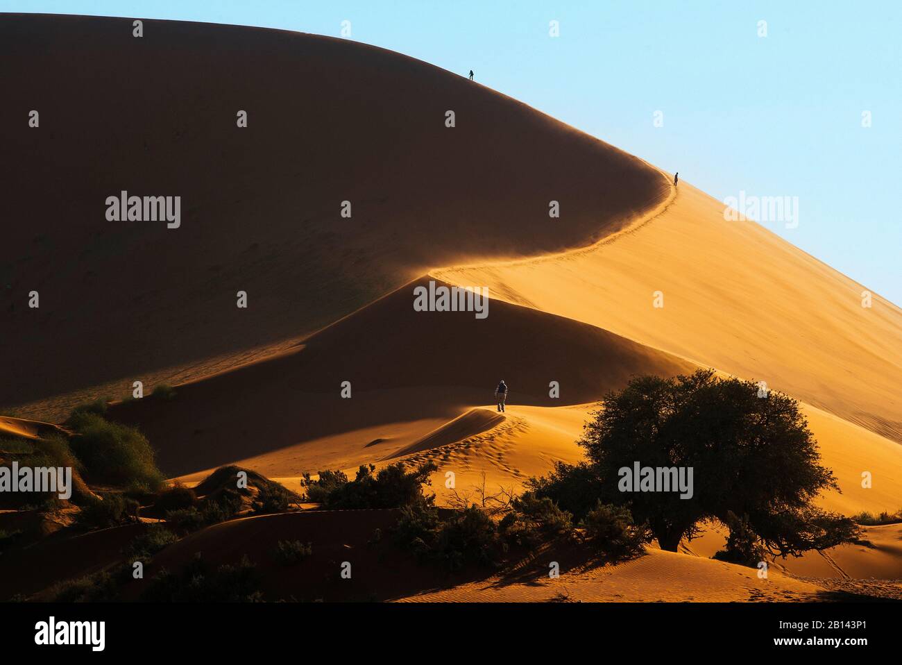 The largest dunes in the world, Sossusvlei, Namibia, Africa Stock Photo