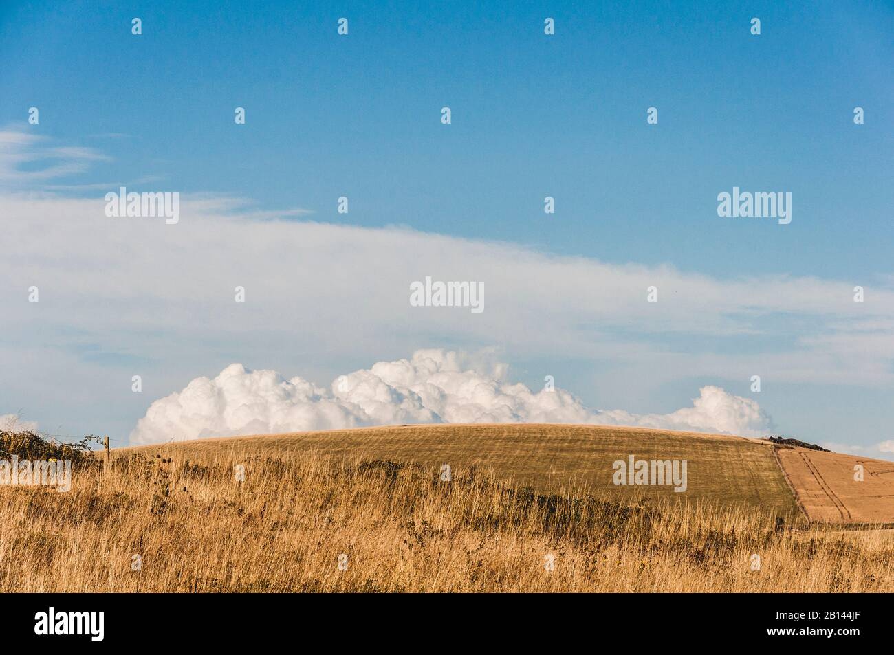 Seven Sisters, South Downs, Sussex, Southern England, United Kingdom Stock Photo