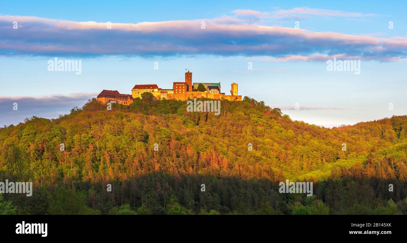 The Wartburg in the last evening light, Thuringian Forest, Eisenach, Thuringia, Germany Stock Photo