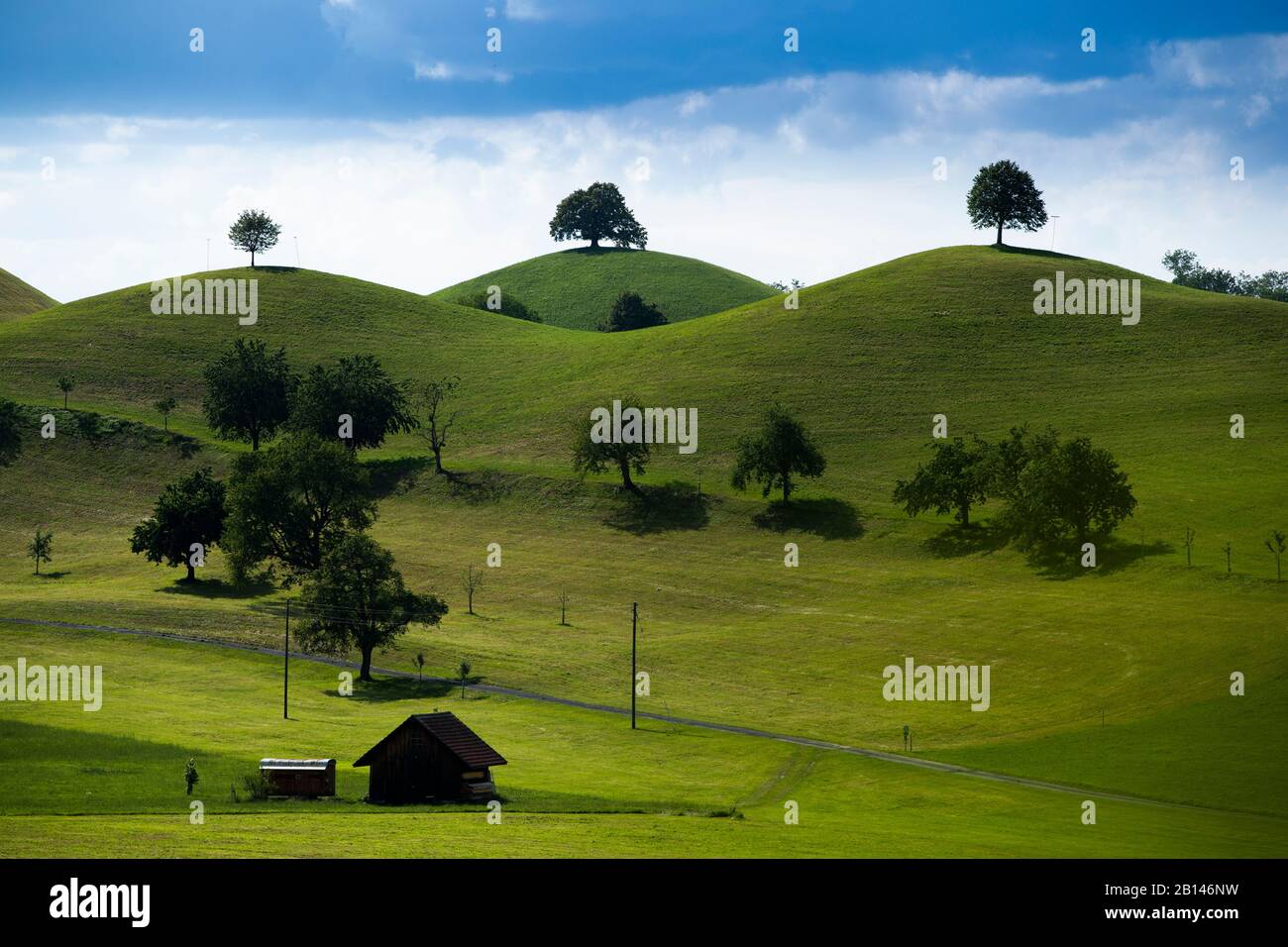 Hilly green landscape in Switzerland Stock Photo