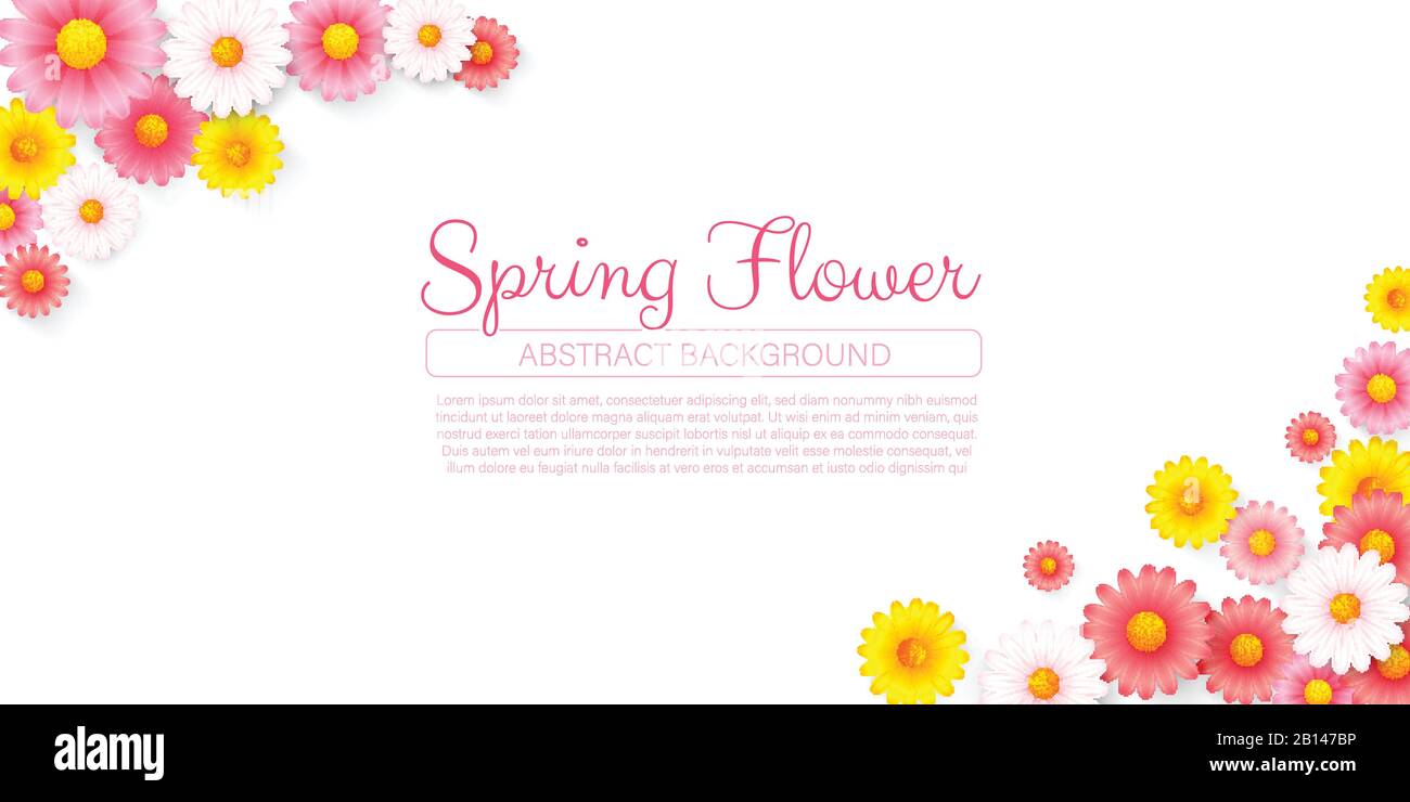 The bouquet of beautiful spring colorful flower on the white background ...