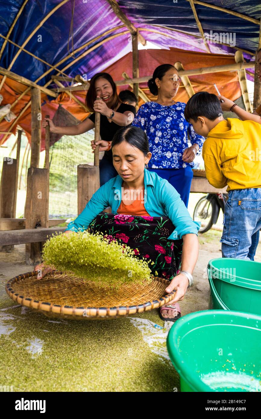 Production of sticky rice, North Vietnam Stock Photo