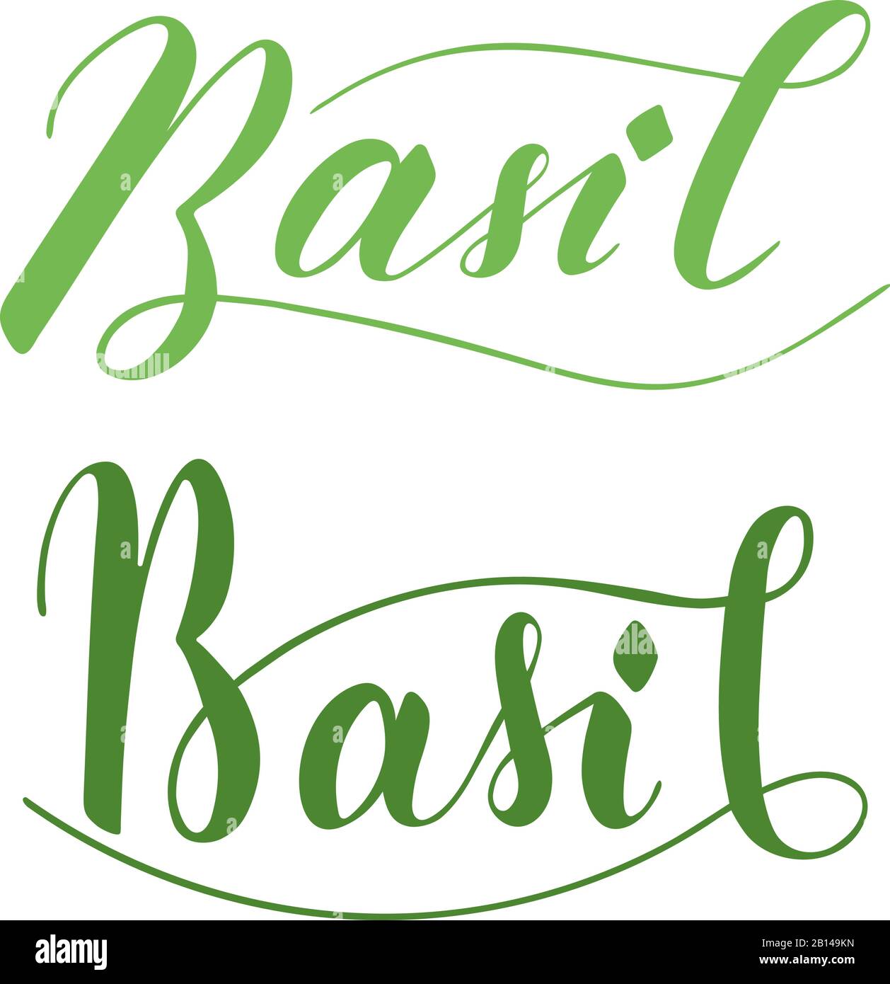 Vector hand written basil text isolated on white background. Kitchen ...