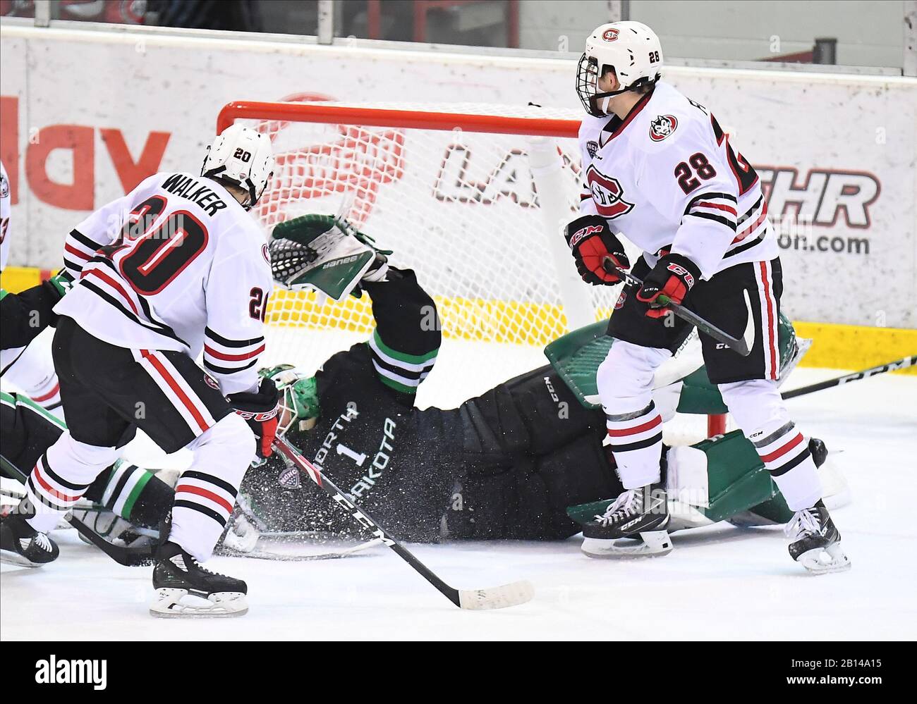 February 22, 2020 North Dakota Fighting Hawks goaltender Peter Thome (1