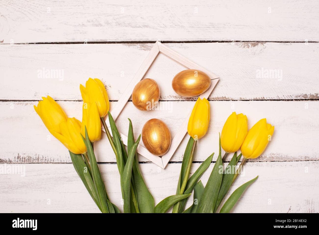 Easter background with blue and white eggs in nest and yellow tulips ...