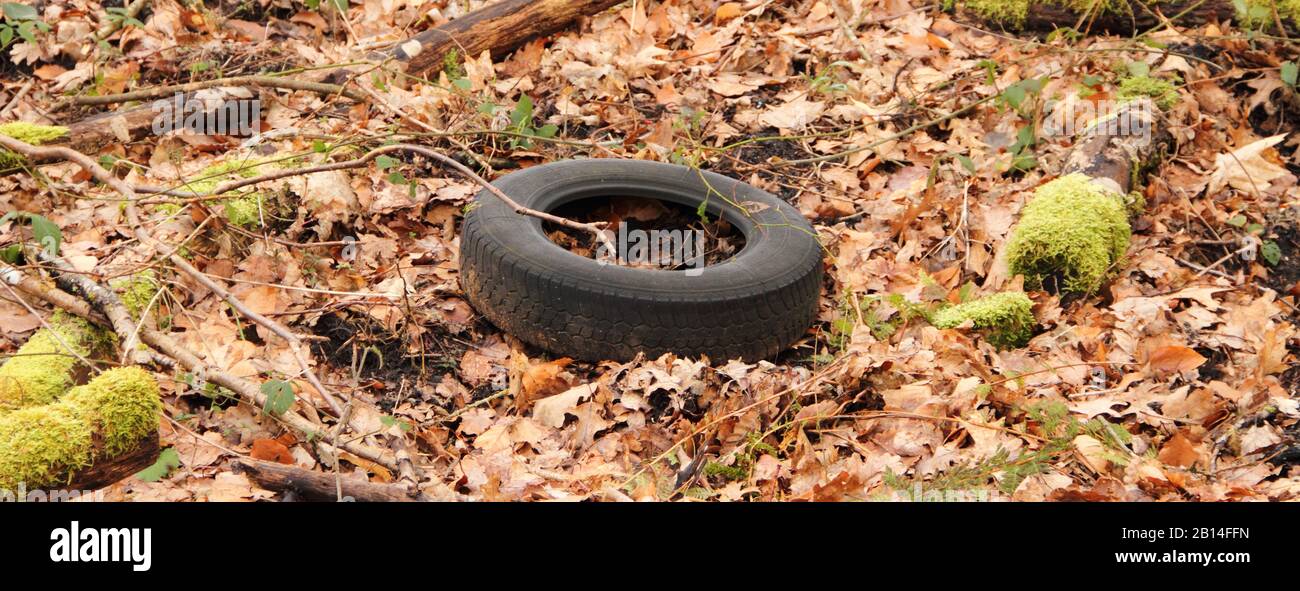 Waste tires disposal in the forest Stock Photo Alamy