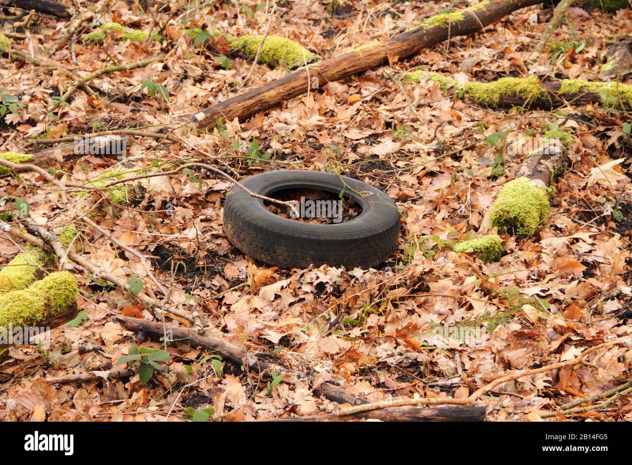 Waste tires disposal in the forest Stock Photo Alamy