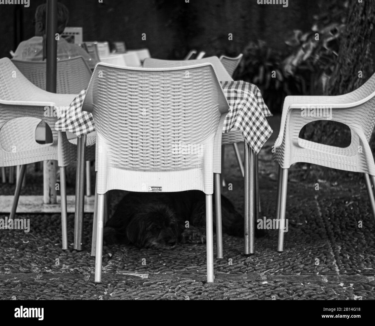 FUNCHAL, MADEIRA, PORTUGAL BLACK AND WHITE Stock Photo Alamy