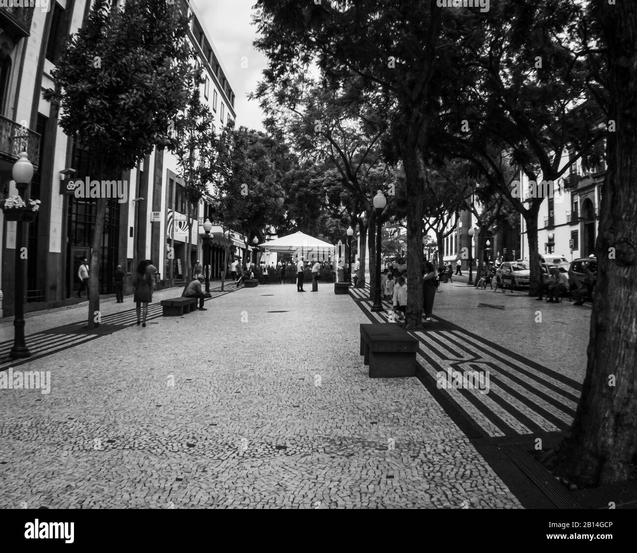 FUNCHAL, MADEIRA, PORTUGAL BLACK AND WHITE Stock Photo Alamy
