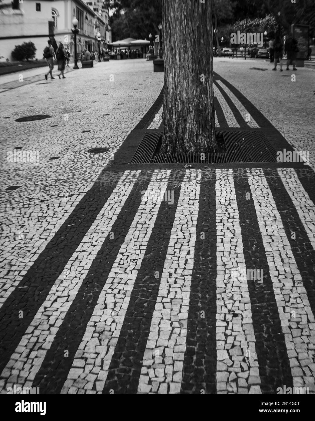 FUNCHAL, MADEIRA, PORTUGAL BLACK AND WHITE Stock Photo Alamy