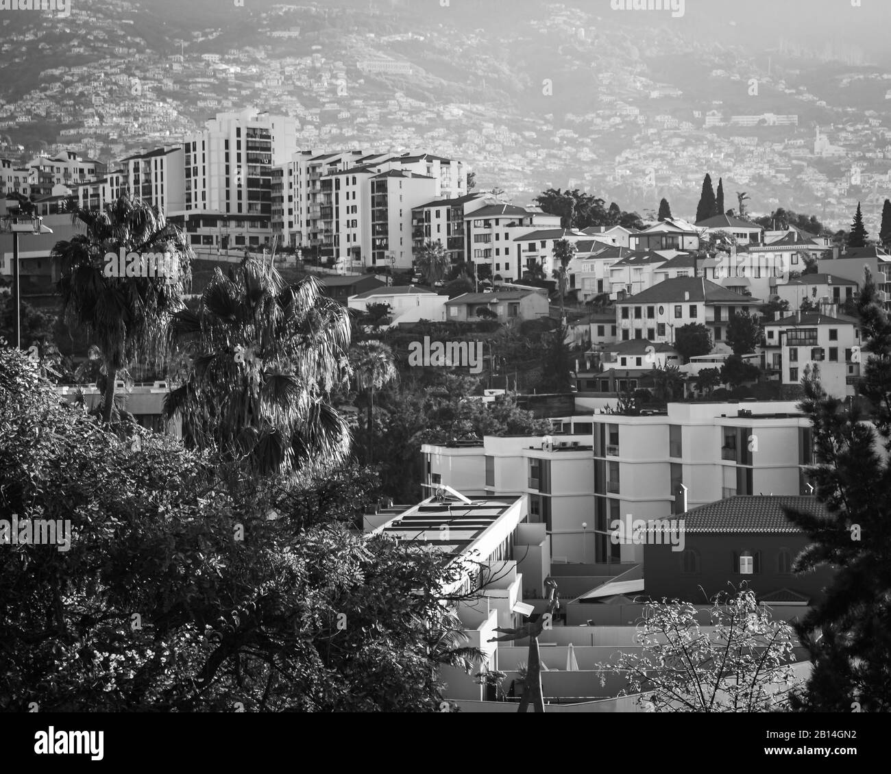 FUNCHAL, MADEIRA, PORTUGAL BLACK AND WHITE Stock Photo Alamy