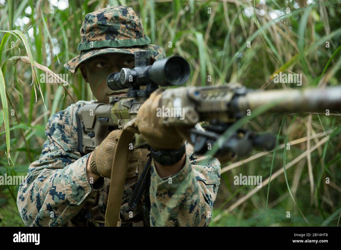 Cpl. Chancelor J. Kelso, a scout sniper team leader with Weapons Company, Battalion Landing Team, 1st Battalion, 4th Marines, posts security during reconnaissance and surveillance training at Camp Hansen, Okinawa, Japan, Dec. 12, 2018. Scout Snipers provide all weather, day and night, continuous and systematic observation of the battlefield for intelligence purposes, which is vital to the success of the mission. BLT 1/4 is the Ground Combat Element for the 31st Marine Expeditionary Unit. Kelso, a native of Mandeville, Louisiana, graduated Mandeville High School in May 2015 before enlisting in Stock Photo