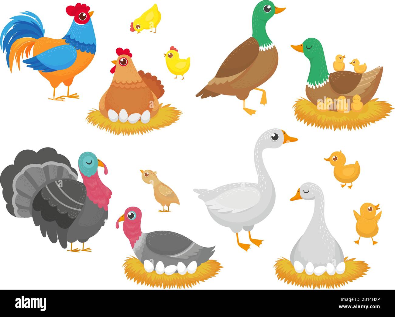 Farm birds. Poultry chicken, goose duck bird and turkey family nest isolated cartoon vector set Stock Vector