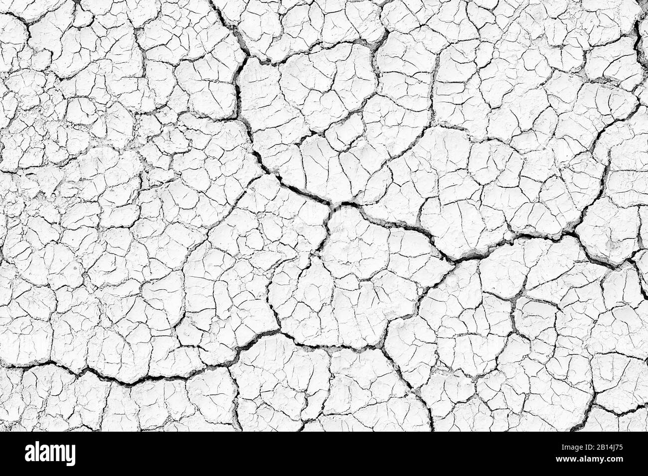 Structure cracked soil ground earth texture black and white background, desert cracks,Dry surface Arid in drought land floor has many grooves and Stock Photo