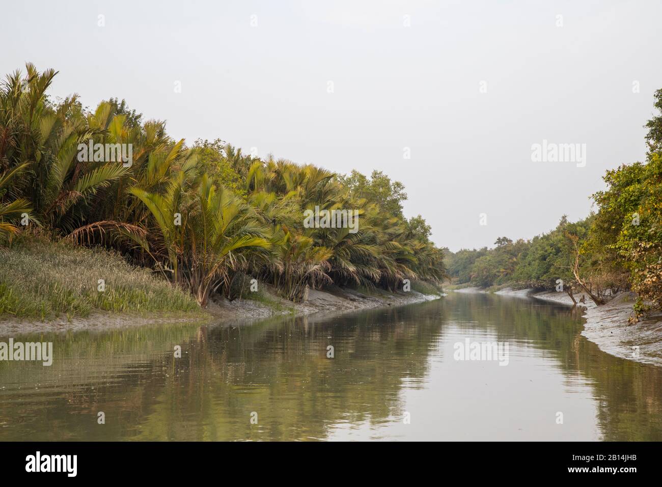 World largest mangrove forest Sundarbans of Bangladesh Part. Stock Photo