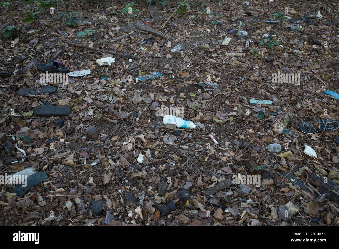 Massive plastic pollution inside the Sundarbans, the largest mangrove