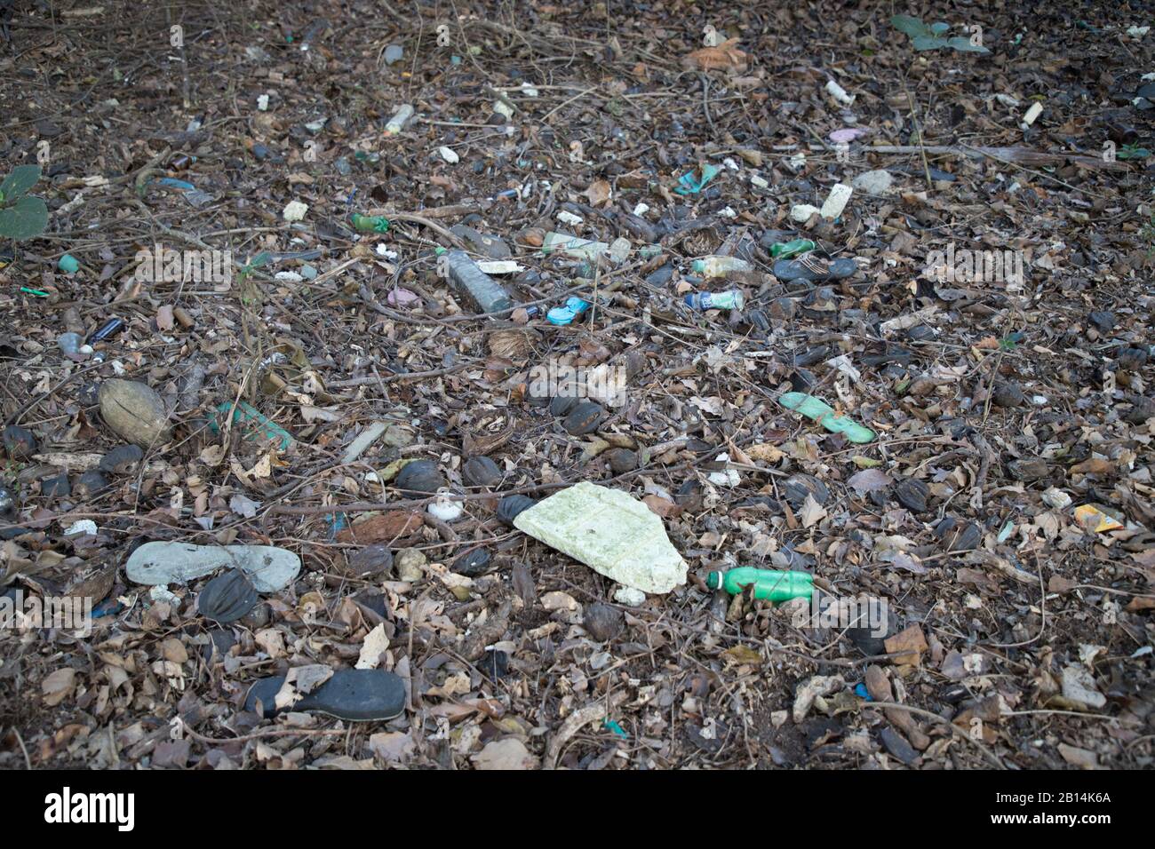 Massive plastic pollution inside the Sundarbans, the largest mangrove