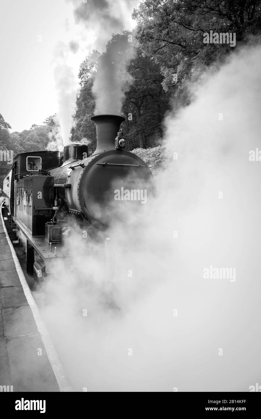 Old stream at Haverthwaite railway station, Lake District, UK Stock Photo