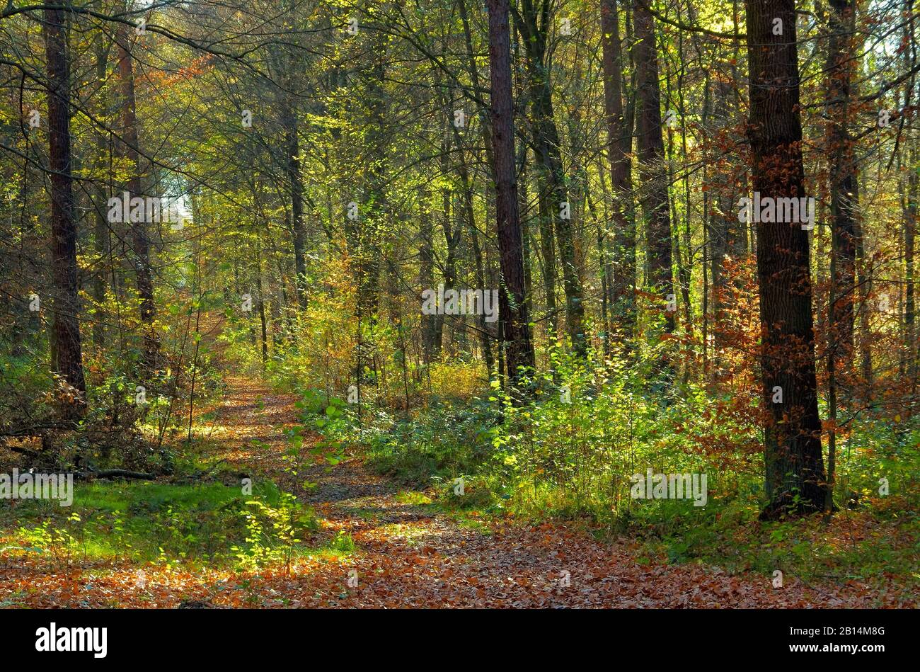 Wanderweg hi-res stock photography and images - Alamy