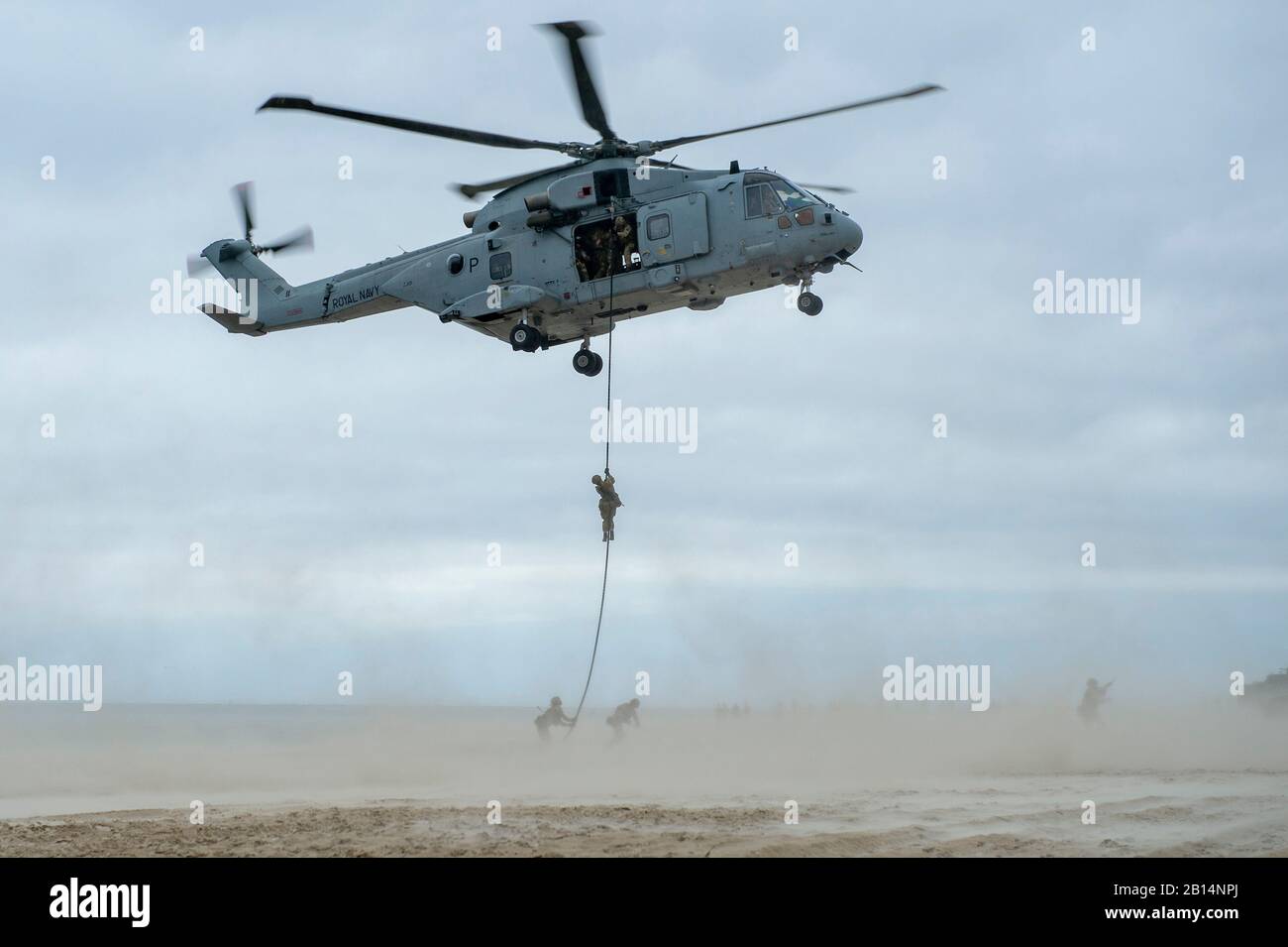 British Royal Marines fast rope from a British Merlin helicopter during a distinguished visitor (DV) day amphibious landing exhibition held as part of Exercise Baltic Operations (BALTOPS) 2019 at Palanga, Lithuania, June 16, 2019 . BALTOPS is the premier annual maritime-focused exercise in the Baltic Region, marking the 47th year of one of the largest exercises in Northern Europe enhancing flexibility and interoperability among allied and partner nations. (U.S. Navy photo by Mass Communication Specialist 2nd Class Joshua M. Tolbert) Stock Photo